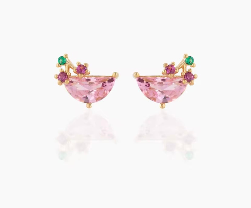 Orecchini a tema cibo